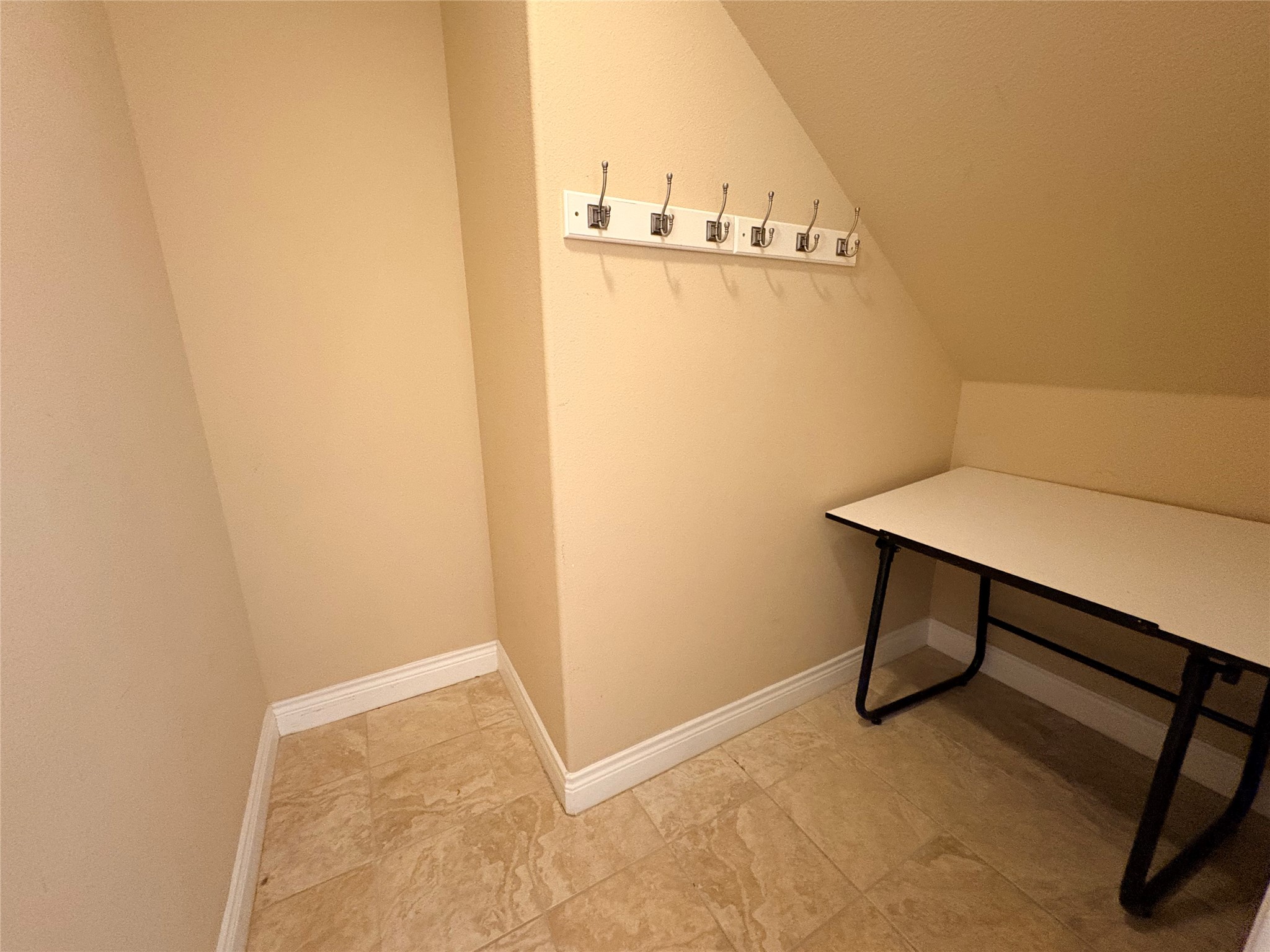 4802 Hidden Springs Trail Georgetown, TX 78633 - Photo 19 of 33 Closet under the stairs -