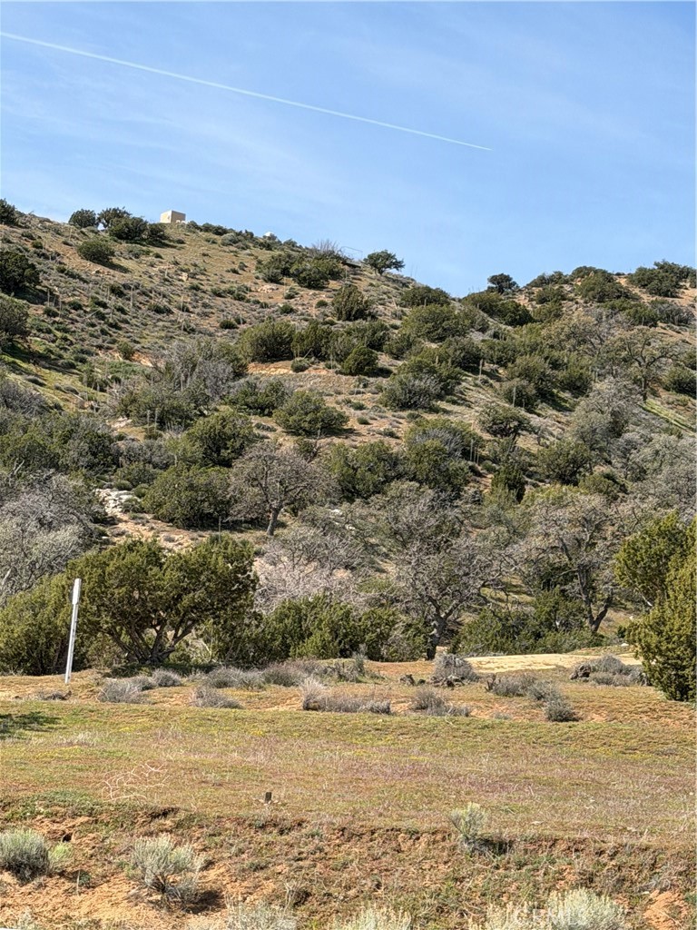 0 Sand Canyon Road Caliente, CA 93518 - Photo 4 of 13 a view of a large body of water with a mountain