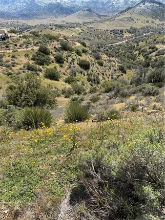 a view of a yard from a large window