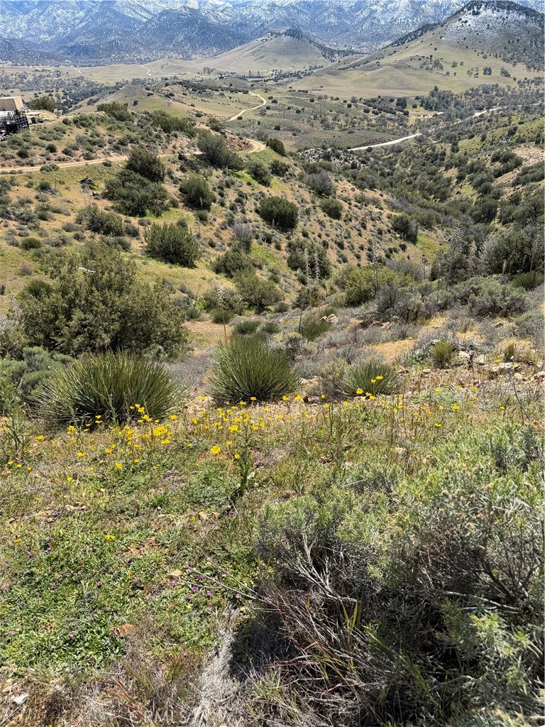 0 Sand Canyon Road Caliente, CA 93518 - Photo 8 of 13 a view of a yard from a large window
