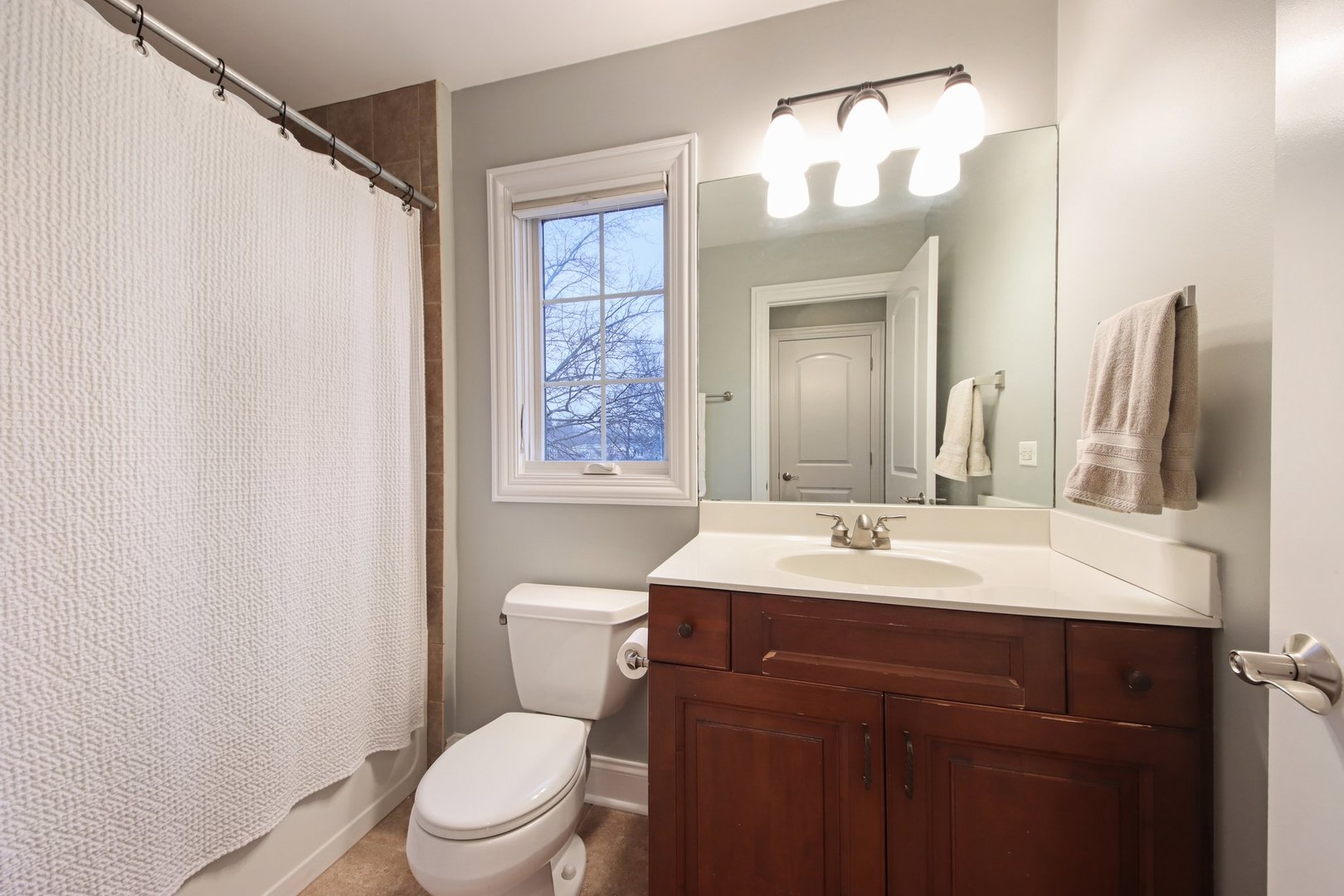 1135 North Main Street Naperville, IL 60563 - Photo 29 of 52 a bathroom with a toilet a sink and a mirror