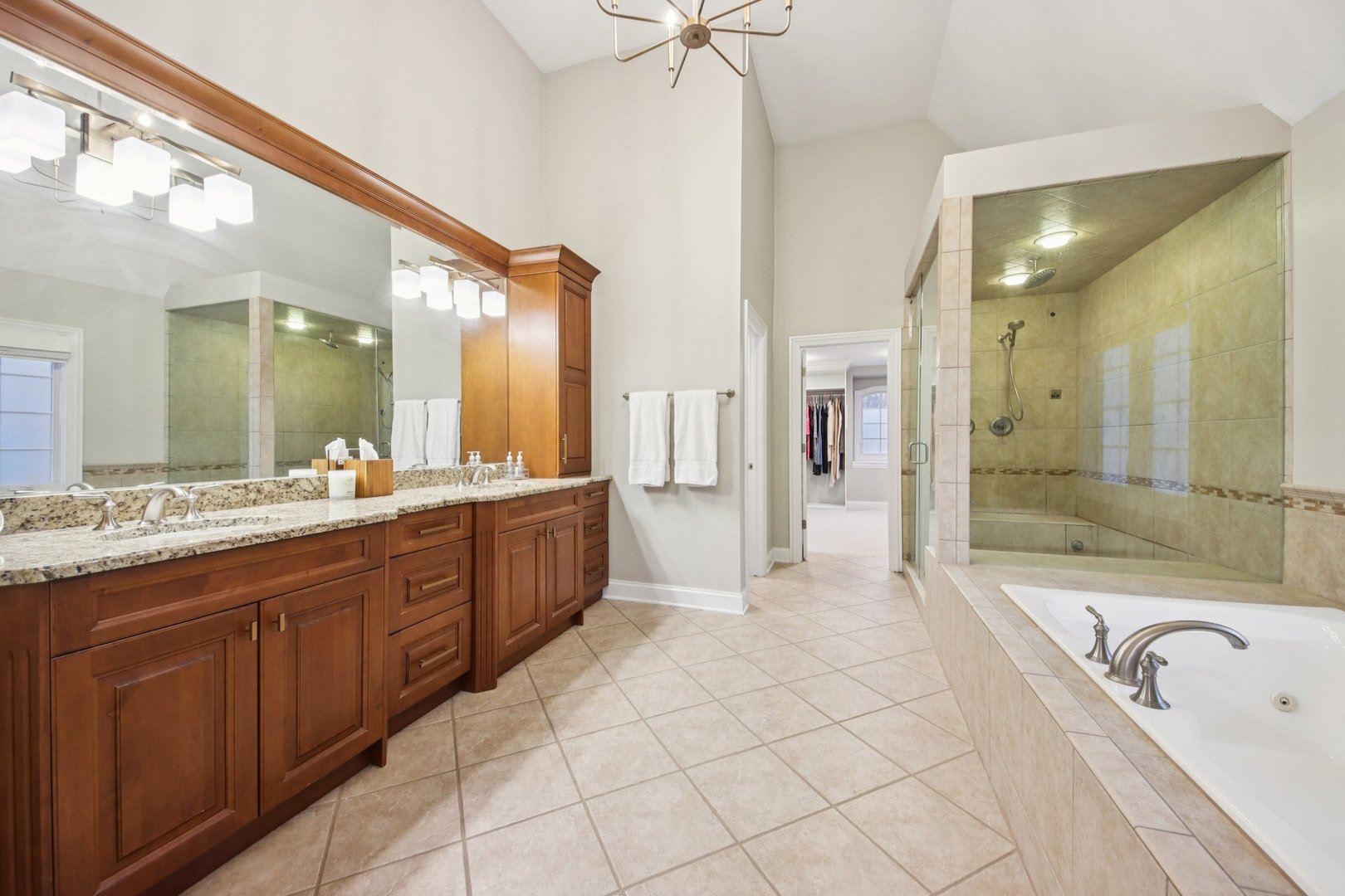 1135 North Main Street Naperville, IL 60563 - Photo 32 of 52 a bathroom with a sink a large mirror and a bathtub