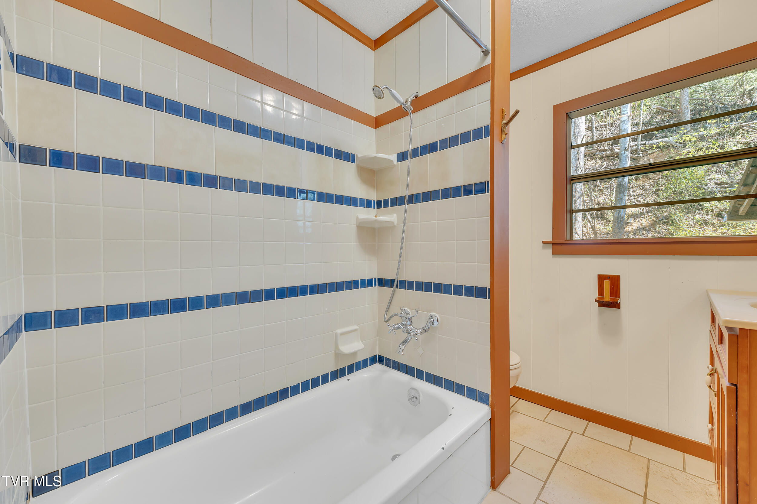 490 Viking Mountain Road Greeneville, TN 37743 - Photo 20 of 37 21_20