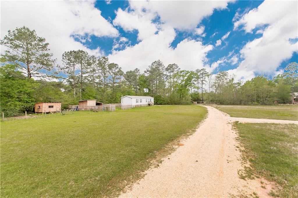 32424 North Doyle Road Holden, LA 70744 - Photo 23 of 29 Gallery Image 23