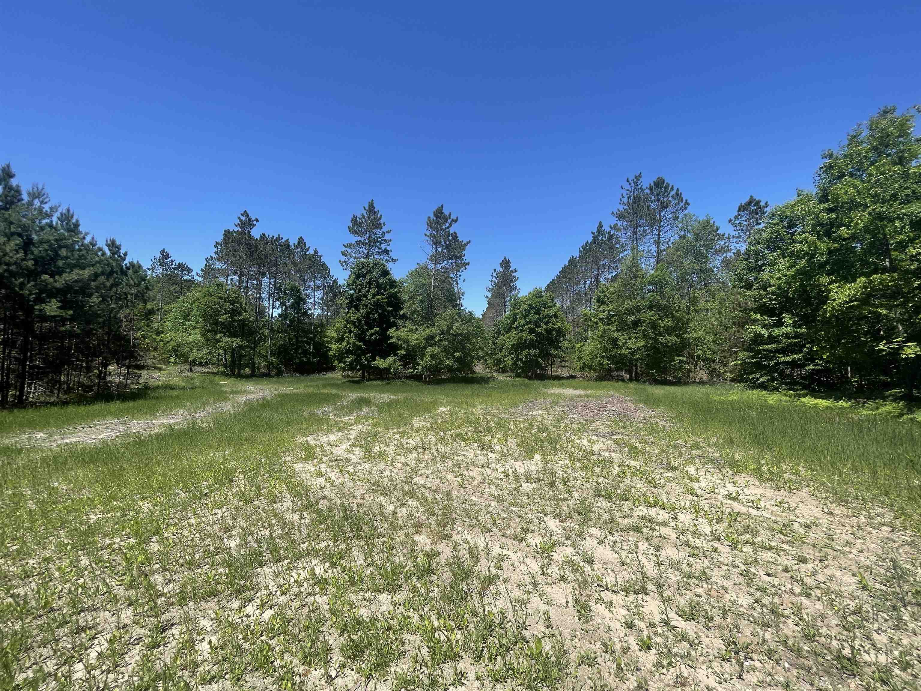0 Hulls Road Copemish, MI 49625 - Photo 3 of 14 1900691-2.JPG