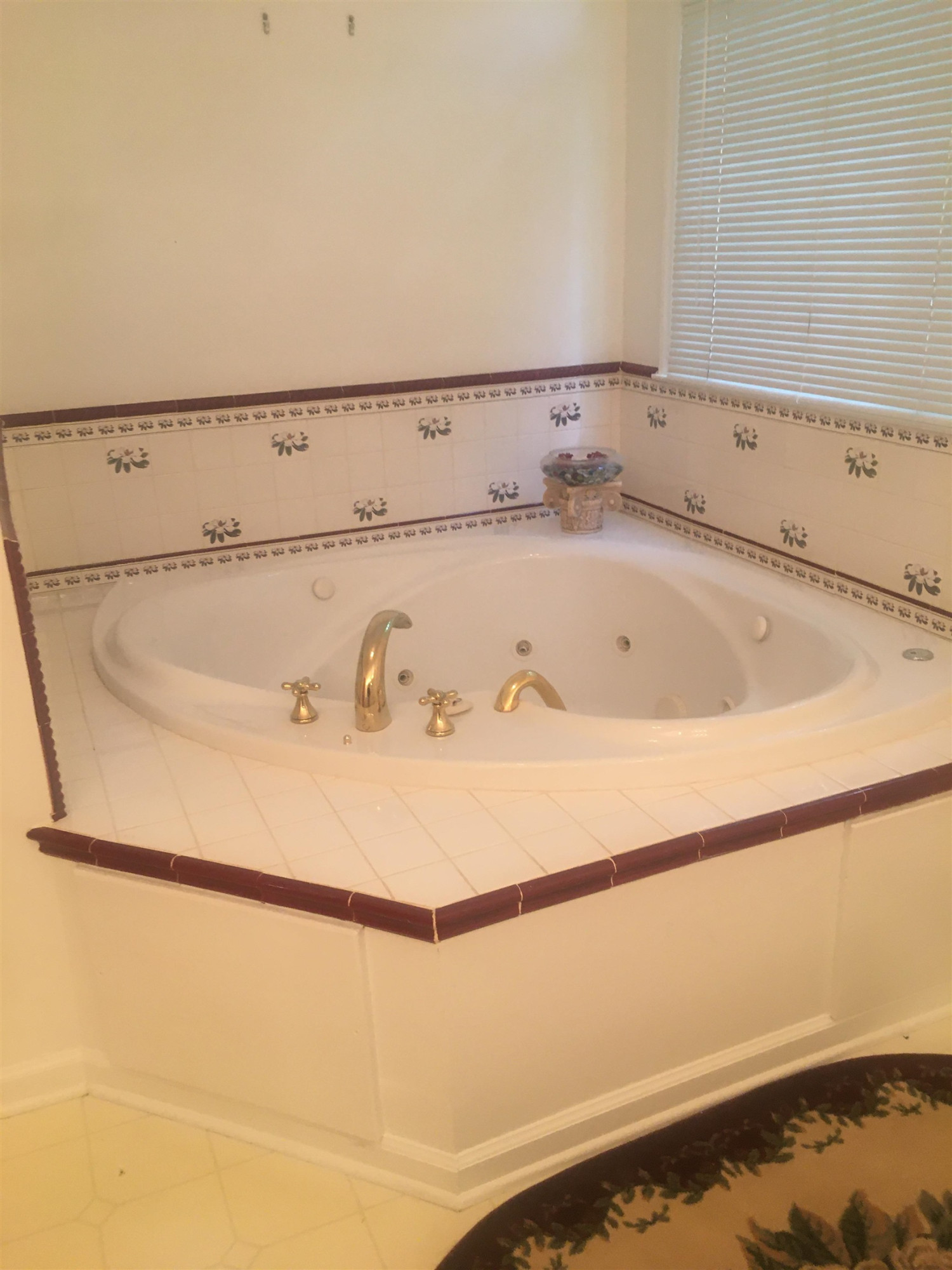 72 Henderson Road Roxboro, NC 27573 - Photo 10 of 18 Master Bath/Spa