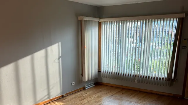 a view of a tree with plants in front of it