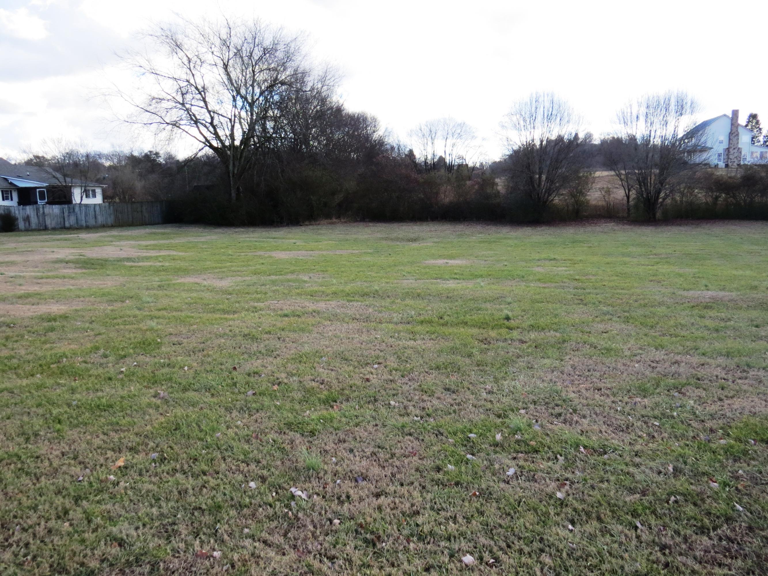 9656 Clift Road Strawberry Plains, TN 37871 - Photo 2 of 39 LEVEL YARD