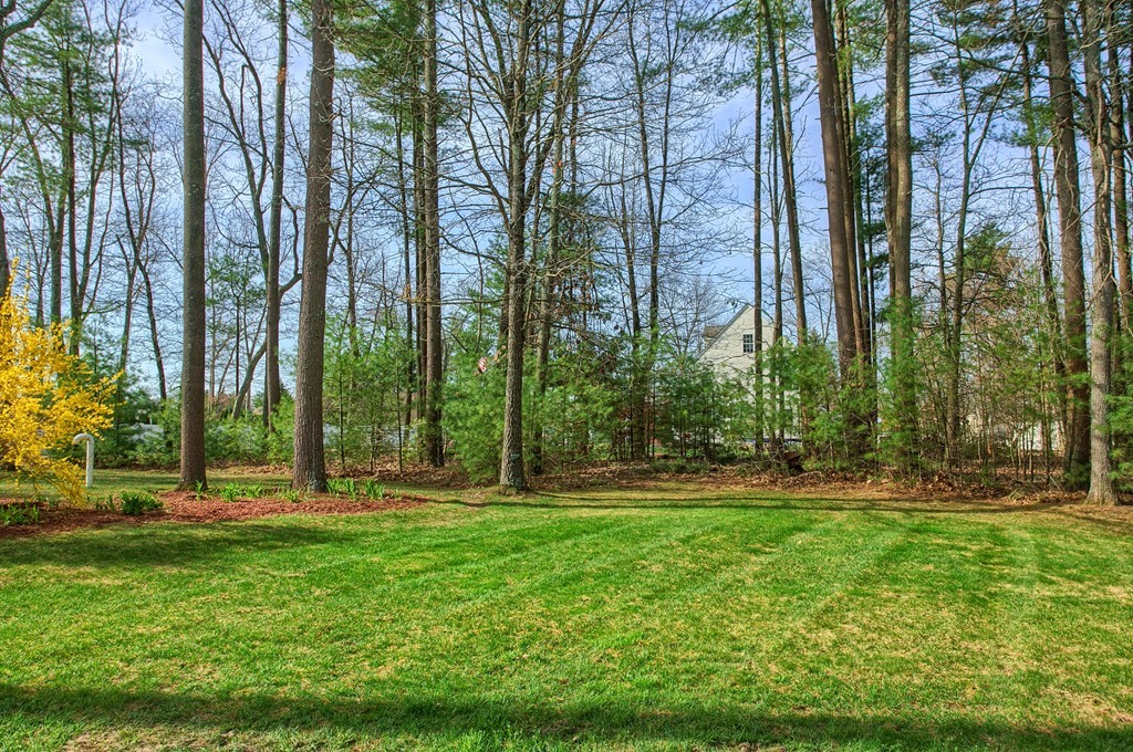 40 Forrest Road Westford, MA 01886 - Photo 27 of 30 Gallery Image 27