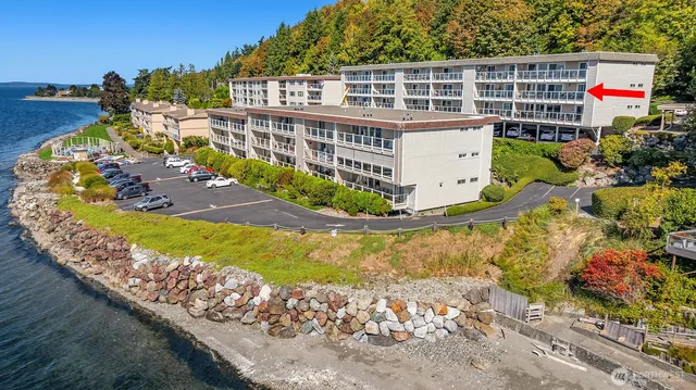 a view of a swimming pool with a garden