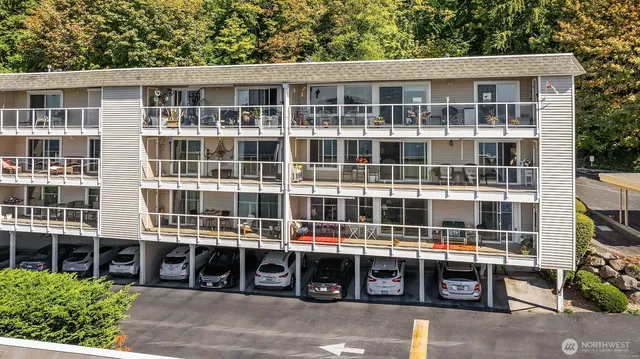 a view of a swimming pool with a garden