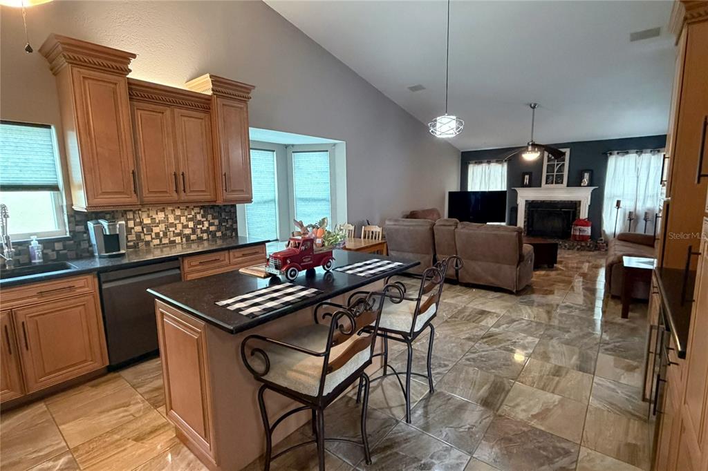 1497 Overland Drive Spring Hill, FL 34608 - Photo 16 of 92