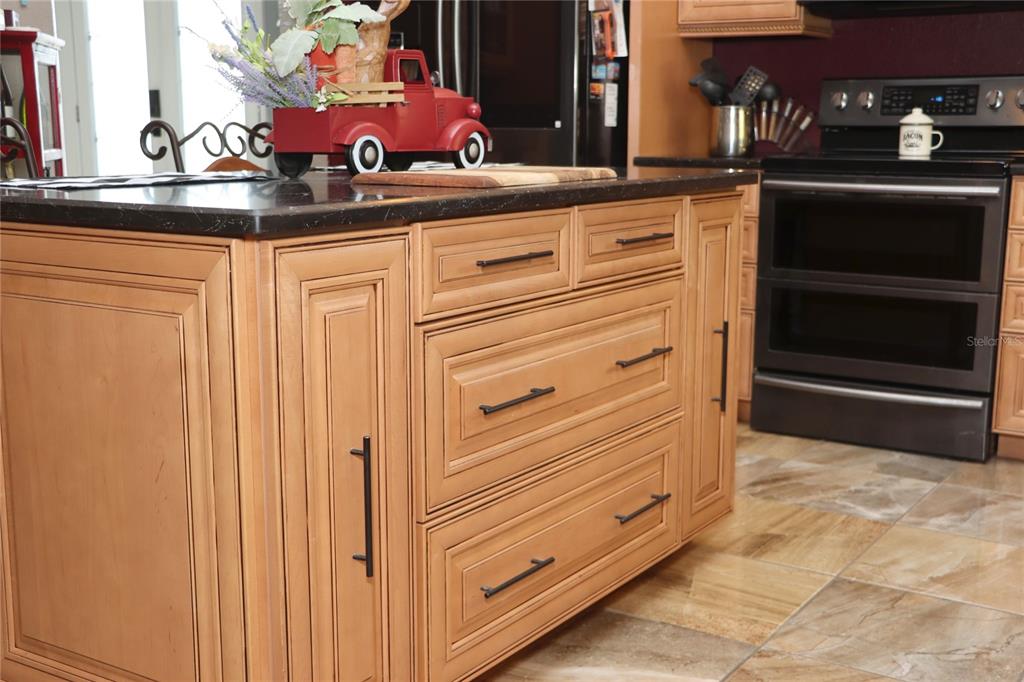 1497 Overland Drive Spring Hill, FL 34608 - Photo 19 of 92