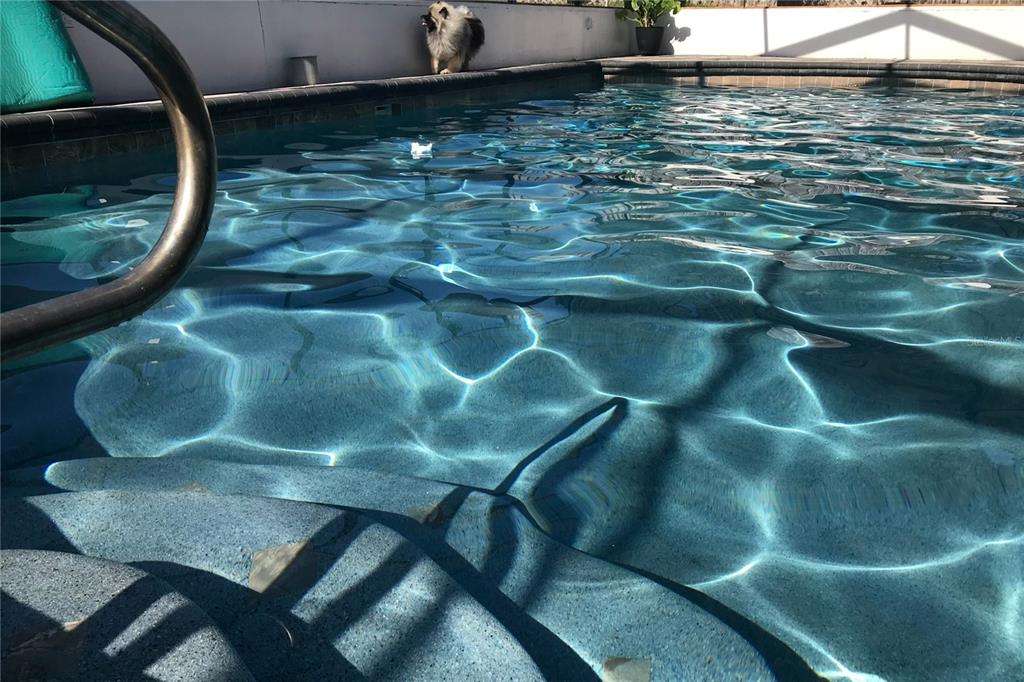 1497 Overland Drive Spring Hill, FL 34608 - Photo 77 of 92