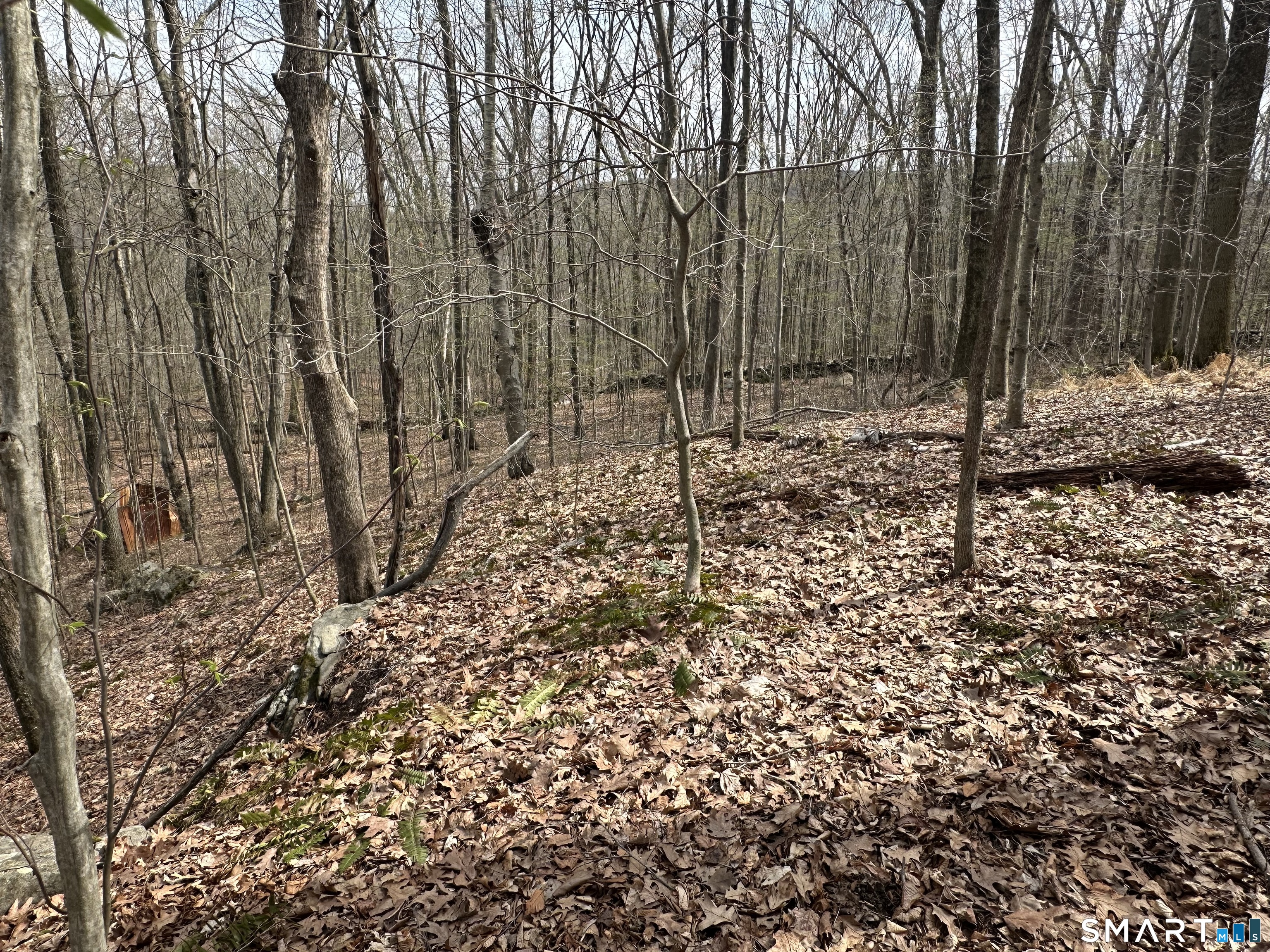 40 Frenchmans Road New Milford, CT 06776 - Photo 8 of 11 Gallery Image 8