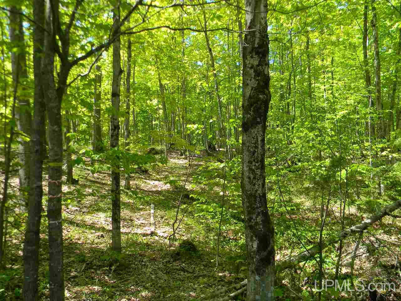 Tbd Rauhala Road, Unit LOT 4 COLES CREEK SUBDIV Atlantic Mine, MI 49931 - Photo 5 of 13