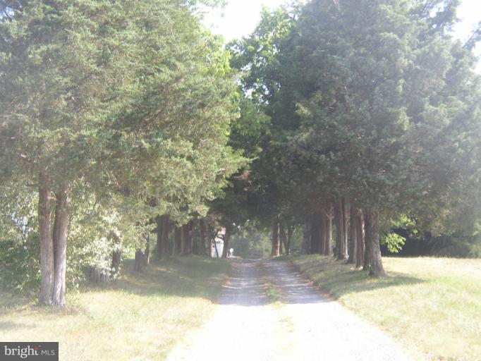 933 Guard Hill Road Middletown, VA 22645 - Photo 2 of 26 a view of a yard with plants and trees