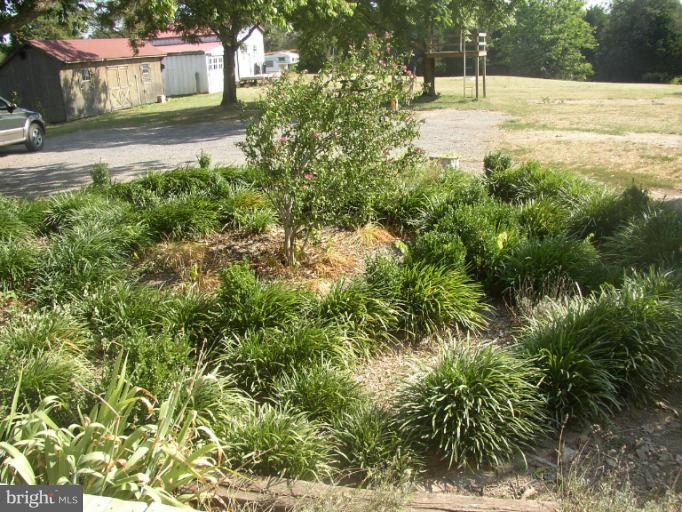933 Guard Hill Road Middletown, VA 22645 - Photo 14 of 26 a view of a yard with plants and trees