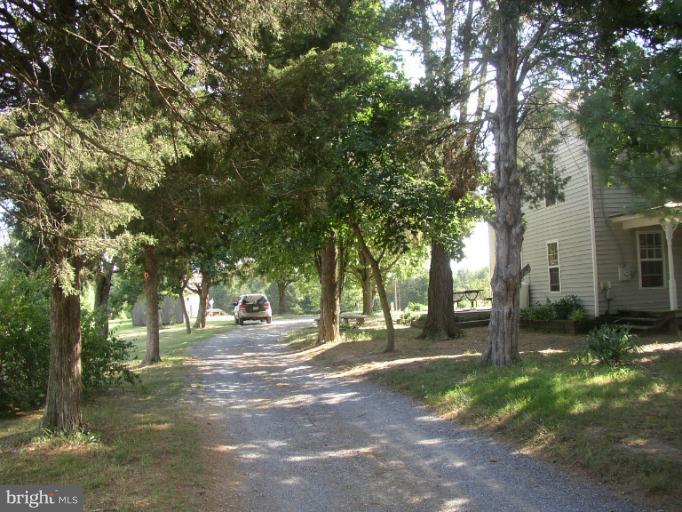 933 Guard Hill Road Middletown, VA 22645 - Photo 3 of 26 a view of a park with tree s