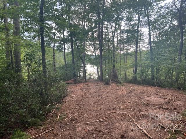 2 Jackson Cove Mill Spring, NC 28756 - Photo 3 of 10 Gallery Image 3