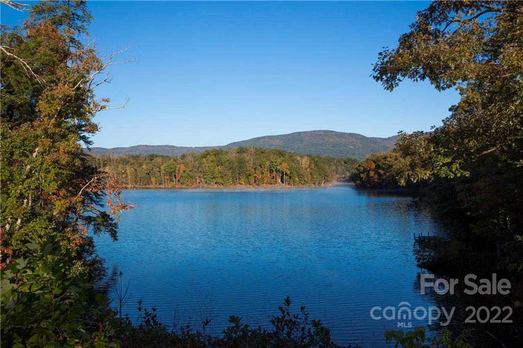 2 Jackson Cove Mill Spring, NC 28756 - Photo 9 of 10 Gallery Image 9