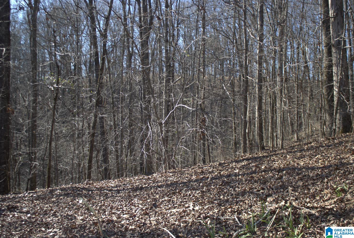 237 Oak Valley Road Springville, AL 35146 - Photo 46 of 48 Gallery Image 46