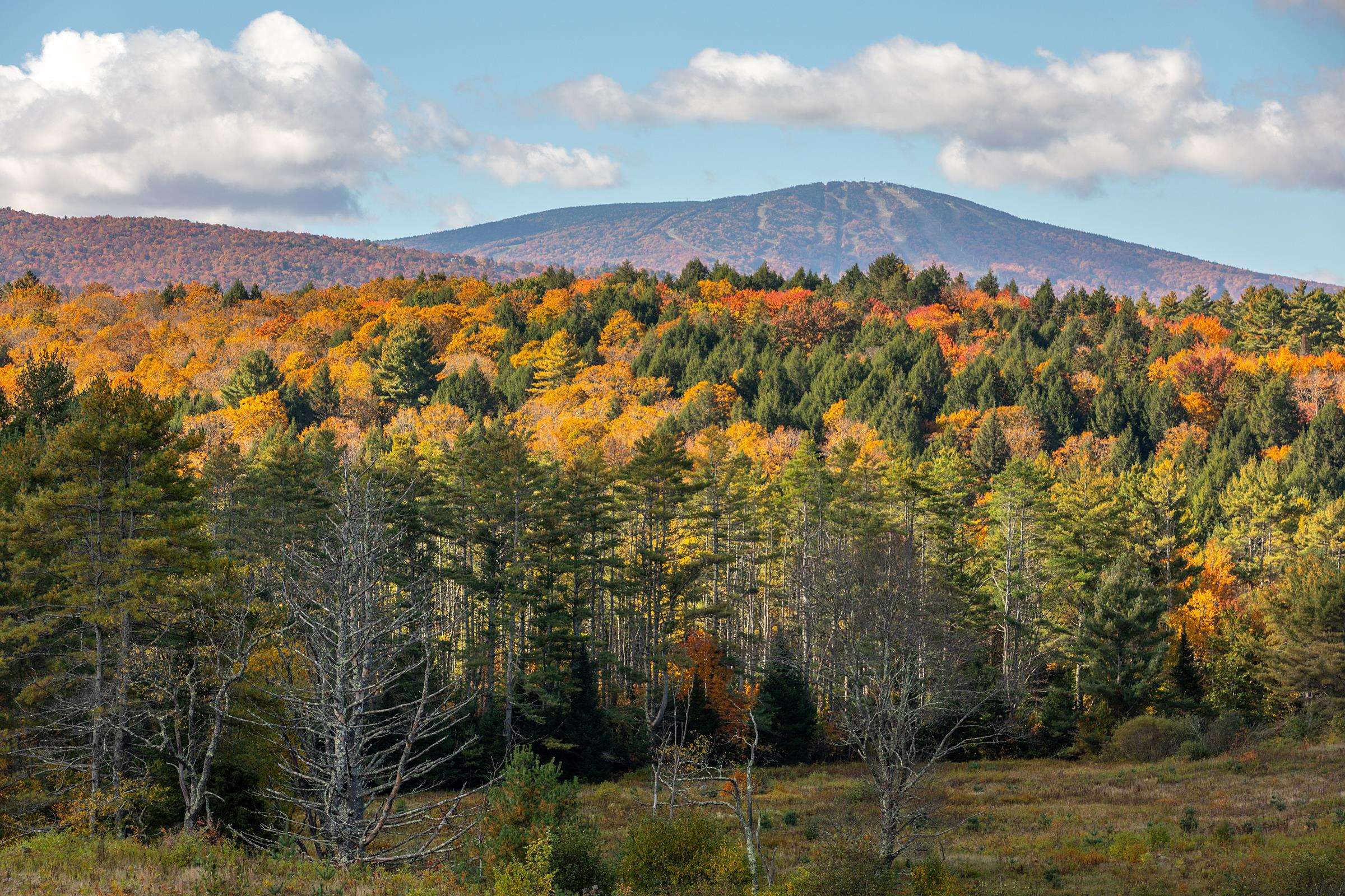 8 Winhall Station Road Londonderry, VT 05155 - Photo 8 of 47 Gallery Image 8