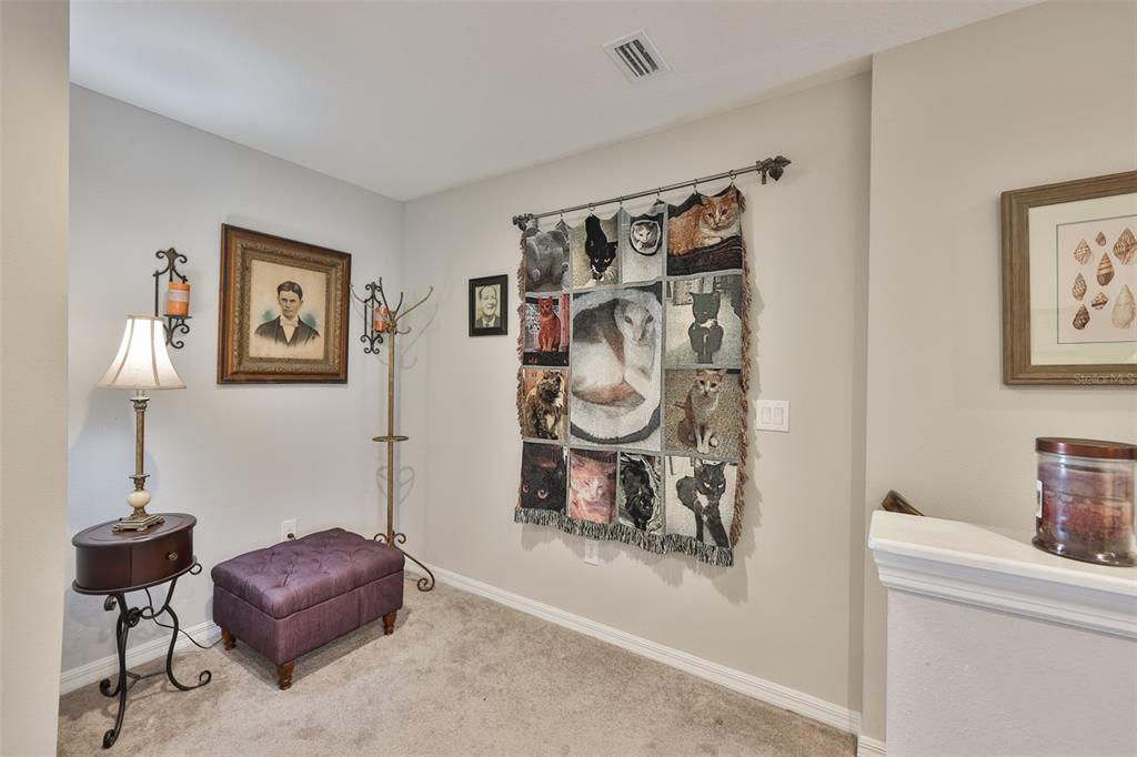 7134 Grand Elm Drive Riverview, FL 33578 - Photo 23 of 45