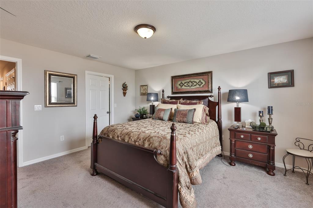 7134 Grand Elm Drive Riverview, FL 33578 - Photo 29 of 45