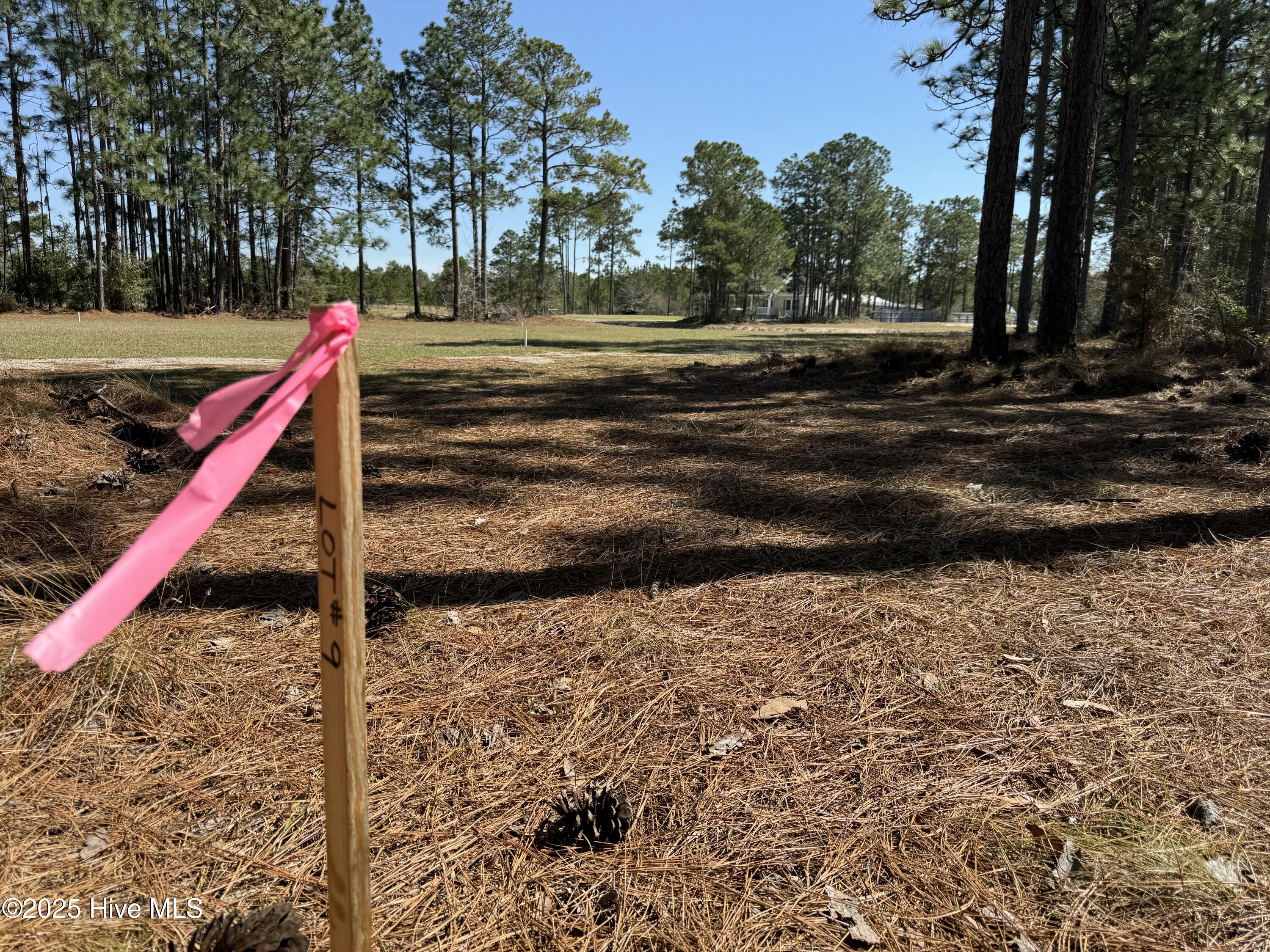 6 Green Hill Road Northeast Leland, NC 28451 - Photo 15 of 15 IMG_1752