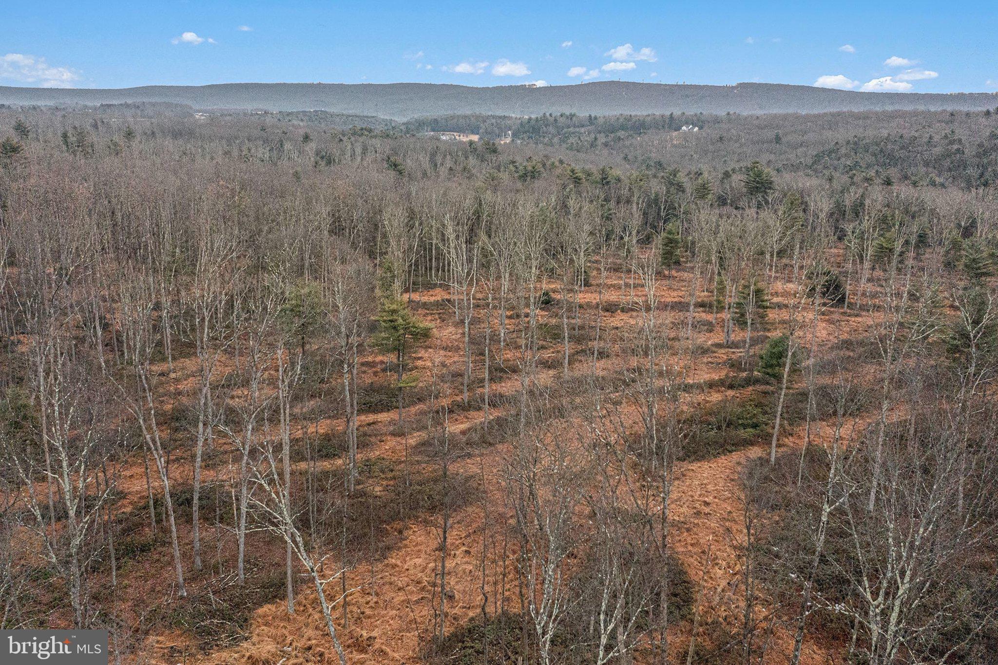 Lot 1 Back Road South Barnesville, PA 18214 - Photo 4 of 7 a view of outdoor space and mountain view