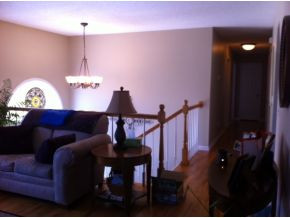 150 Kincheloe Road Fall Branch, TN 37656 - Photo 3 of 10 Photo 3