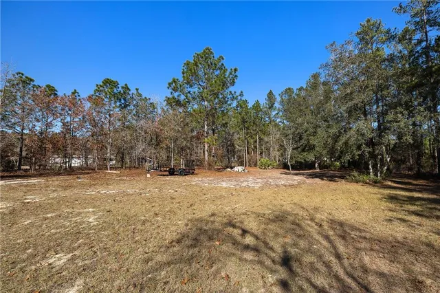 a view of a yard with a tree