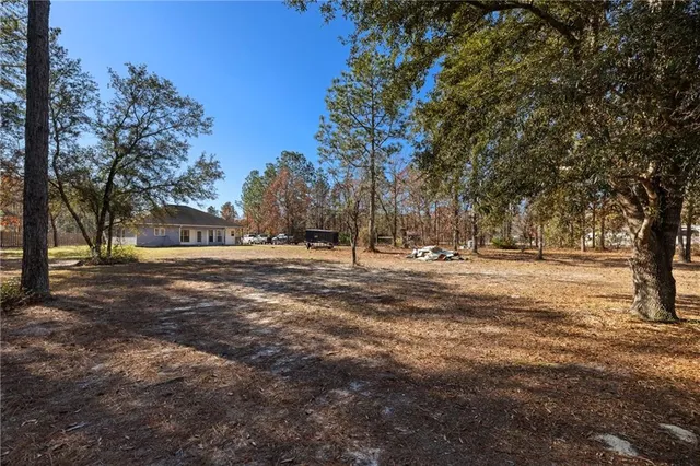 a view of outdoor space with trees