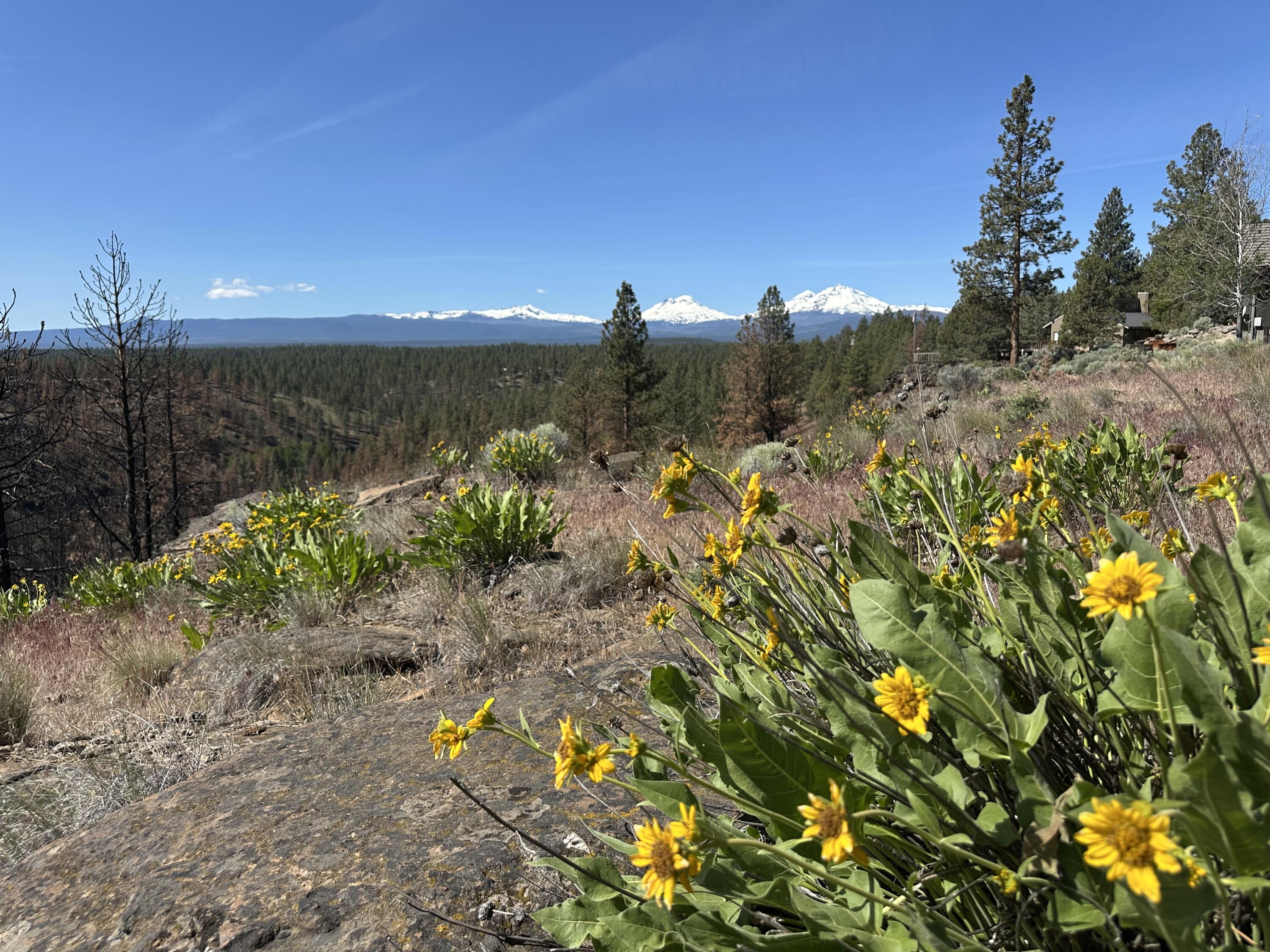 17127 Mountain View Road Sisters, OR 97759 - Photo 10 of 13 13