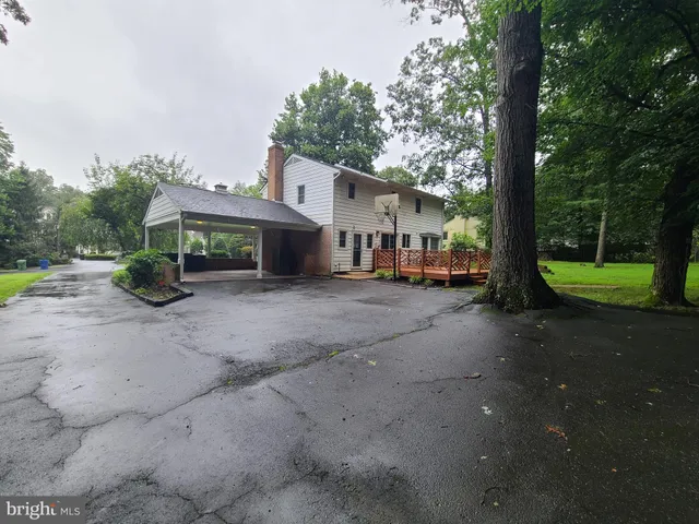 a view of a garden with trees