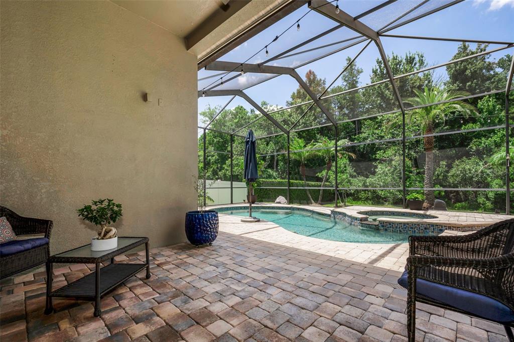 16207 Rambling Road Odessa, FL 33556 - Photo 43 of 76