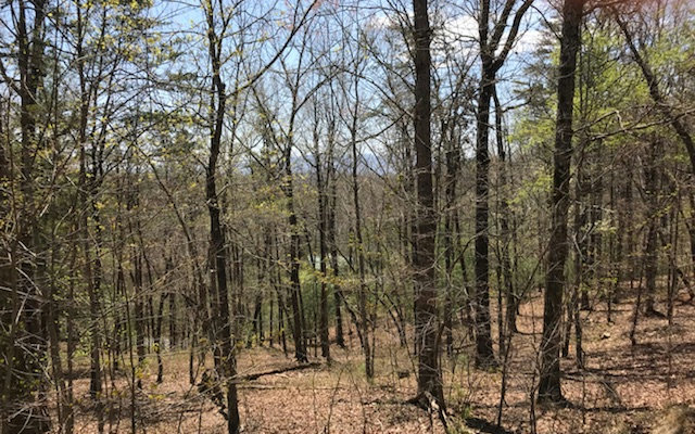 L347 Echo Road Morganton, GA 30560 - Photo 1 of 1 Main View
