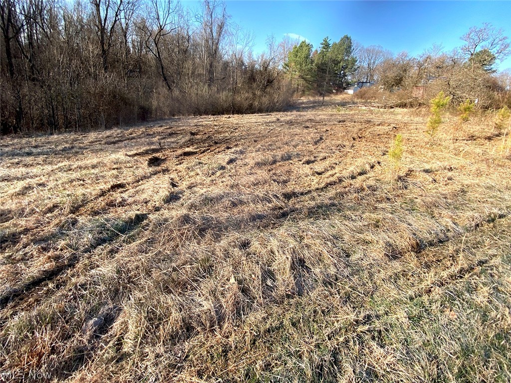 0 Twp Road Dexter City, OH 45727 - Photo 3 of 26