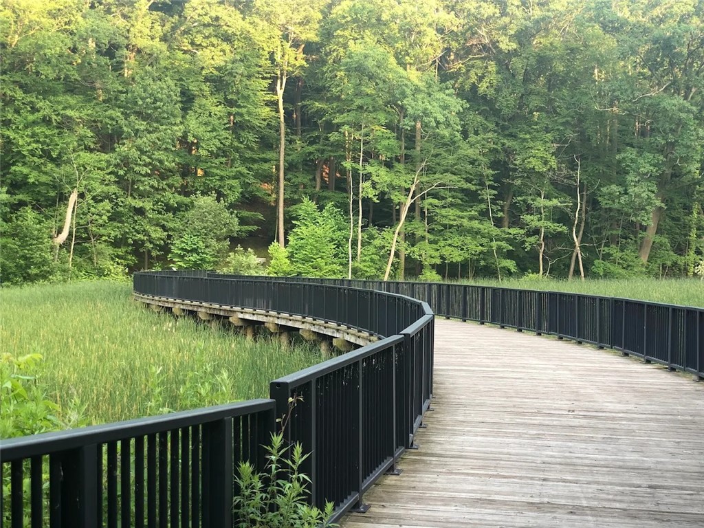 163 Park Road Irondequoit, NY 14622 - Photo 21 of 23 Durand Eastman Park boardwalk