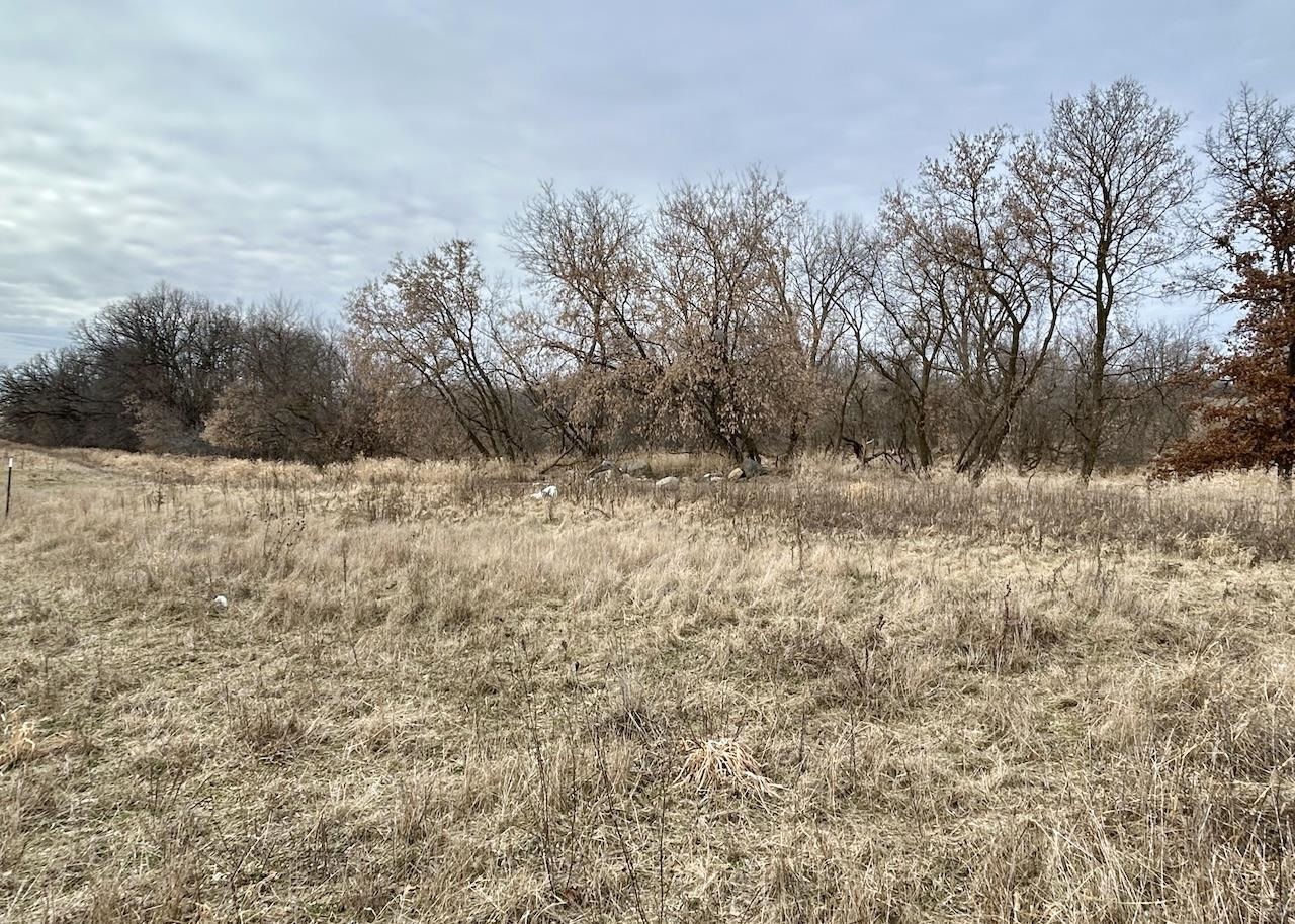 7794 Bluestem Trail DeForest, WI 53532 - Photo 5 of 12