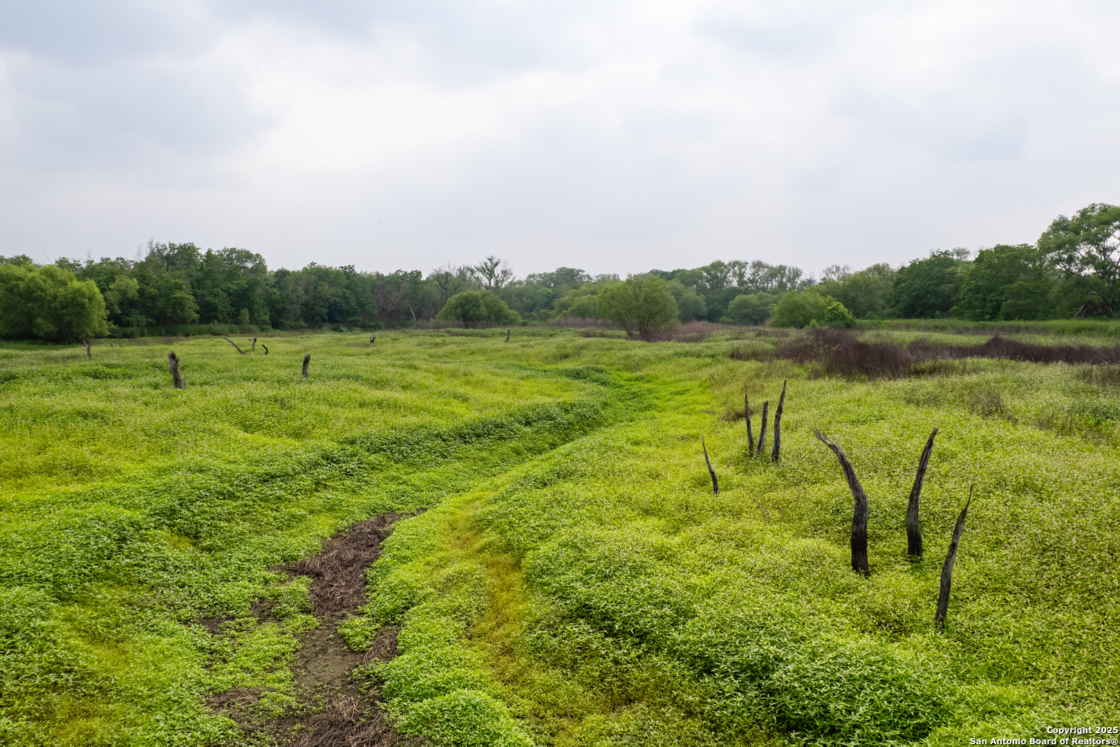Tract 1 Shepherd Road Atascosa, TX 78002 - Photo 11 of 15 a view of a lake with a yard