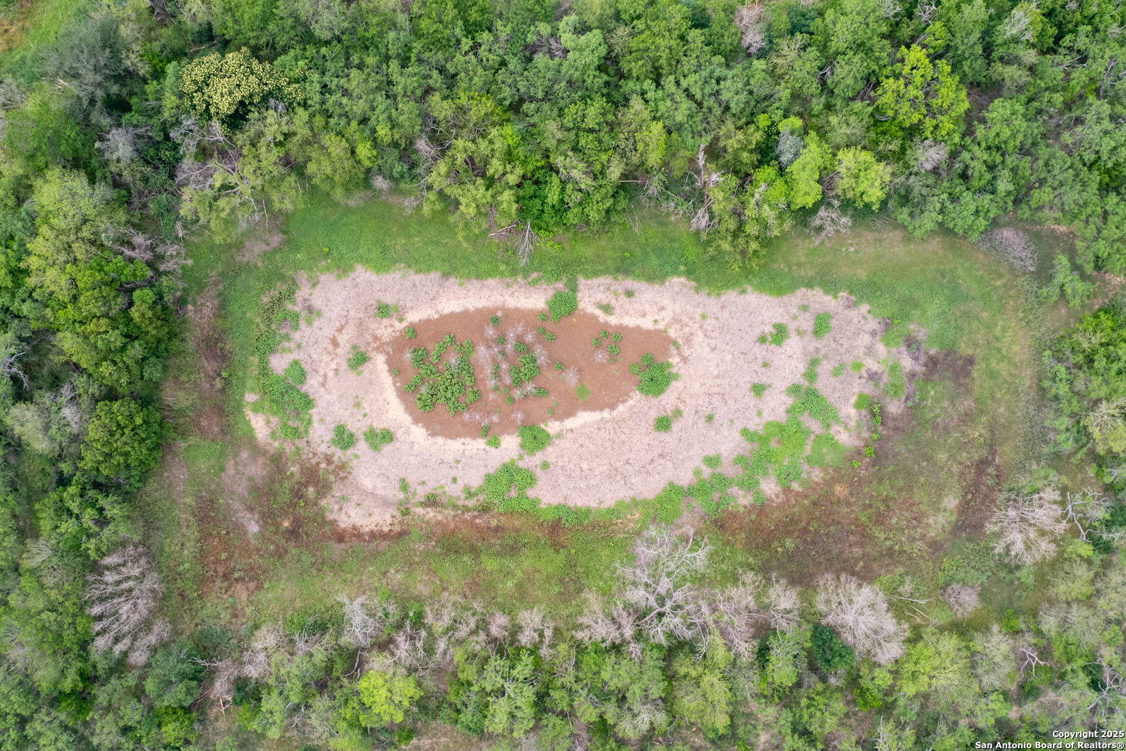 Tract 1 Shepherd Road Atascosa, TX 78002 - Photo 14 of 15 a view of a lake with large trees