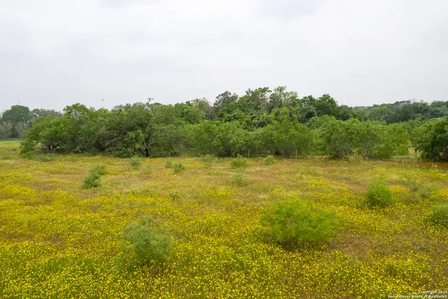 $540,000 | Tract 1 Shepherd Road, Atascosa, TX 78002