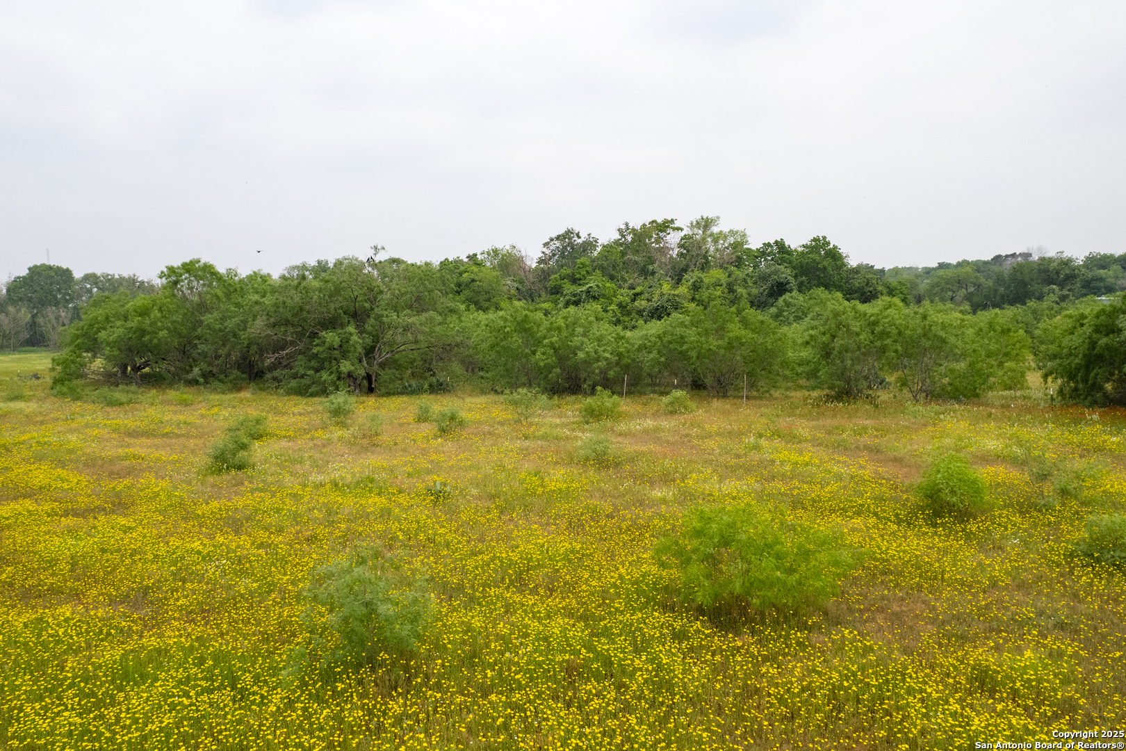 Tract 1 Shepherd Road Atascosa, TX 78002 - Photo 15 of 15 a view of a lake view