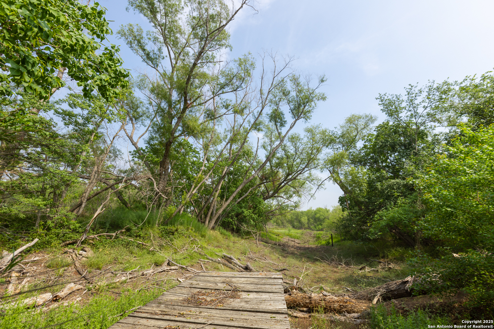 Tract 1 Shepherd Road Atascosa, TX 78002 - Photo 3 of 15 a backyard of a house with lots of green space