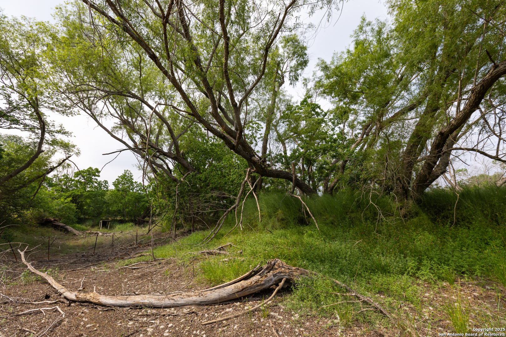 Tract 1 Shepherd Road Atascosa, TX 78002 - Photo 7 of 15 a view of a lake view
