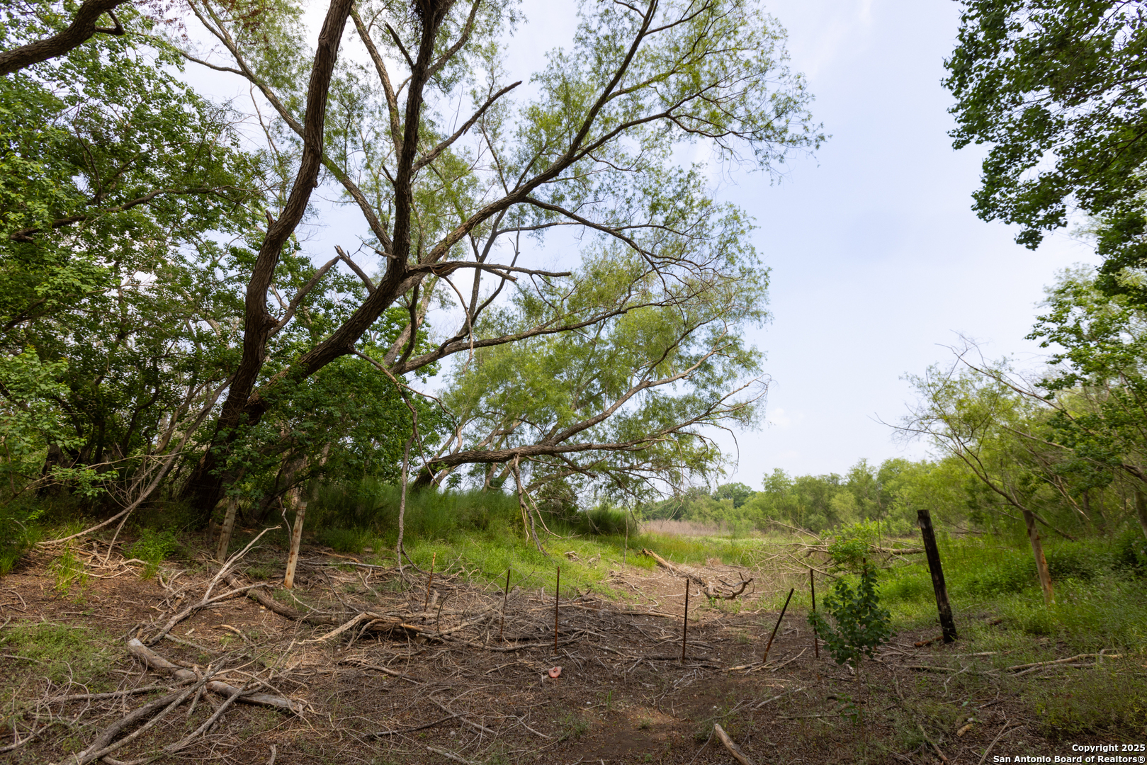 Tract 1 Shepherd Road Atascosa, TX 78002 - Photo 8 of 15 a view of a lake with green space