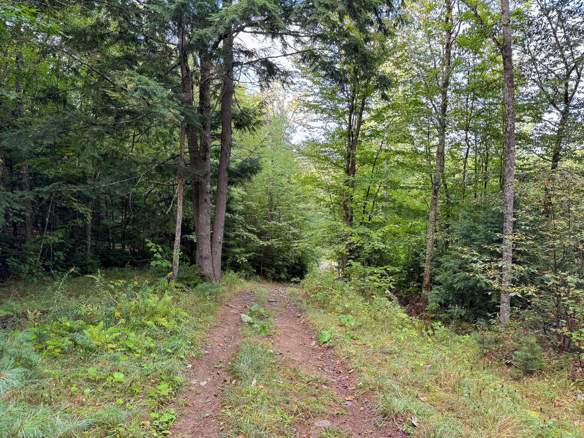Lot 8-9 Moores Road Springfield, ME 04487 - Photo 15 of 22 15