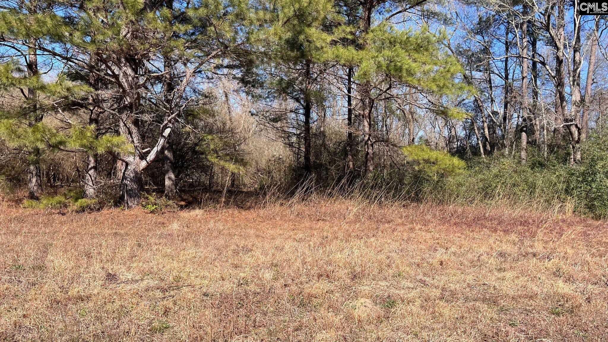 Tbd Veterans Road Salley, SC 29137 - Photo 13 of 17